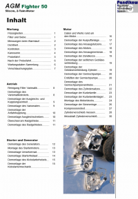 Reparaturanleitung RIS AGM Scooter Fighter 50 2T Antrieb und Motor