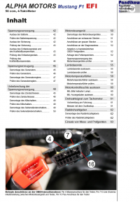 Reparaturanleitung RIS, Alpha Motors Mustang F1 50 EFI, 4T, Gemischaufbereitung und Diagnose