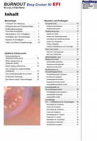 Reparaturanleitung RIS BURNOUT Easy Cruiser 50, Gemischaufbereitung und Diagnose