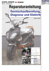 Reparaturanleitung RIS Explorer 50 Speed Gemischaufbereitung, Diagnose und Elektrik