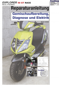 Reparaturanleitung RIS Explorer 50 GT Race Gemischaufbereitung, Diagnose und Elektrik