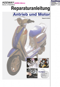 Reparaturanleitung RIS KEEWAY Agora (Retro) 2T Antrieb und Motor