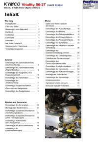 Reparaturanleitung RIS, Kymco Vitality 50, 2T