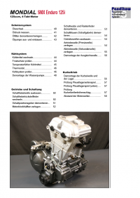 Reparaturanleitung RIS, Mondial SMX Enduro 125, 4T, Antrieb und Motor