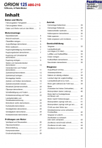 Reparaturanleitung RIS Orion 125 ABG-21G Motor, Antrieb, Gemischbildung und Diagnose