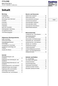 Reparaturanleitung RIS Cyclone Batllo 125 LC, Antrieb und Motor