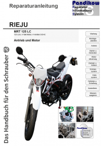 Reparaturanleitung RIS Rieju MRT 125 LC, Antrieb und Motor