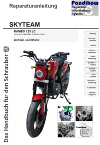 Reparaturanleitung RIS Skyteam Rambo 125 LC, Antrieb und Motor