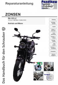 Reparaturanleitung RIS Zonsen RA 125 LC, Antrieb und Motor