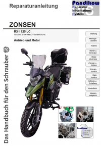 Reparaturanleitung RIS Zonsen RX1 125 LC, Antrieb und Motor