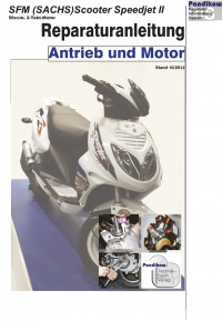 Reparaturanleitung RIS, SFM Scooter Speedjet II, 2T, Antrieb und Motor