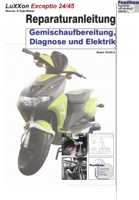 Reparaturanleitung RIS, LuXXon Exceptio, 4T, Gemischaufbereitung, Diagnose und Elektik