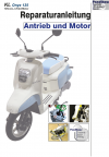 Reparaturanleitung RIS KL Onyx 125, Antrieb und Motor