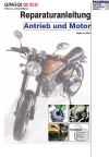 RIS Reparaturanleitung Qingqi QM 125-2X Antrieb und Motor