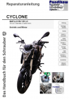Reparaturanleitung RIS Cyclone Batllo 125 LC, Antrieb und Motor