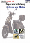 Reparaturanleitung RIS Tauris Freccia 125 4T Antrieb und Motor