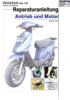 RIS Reparaturanleitung Pegasus Sky 125 Antrieb und Motor